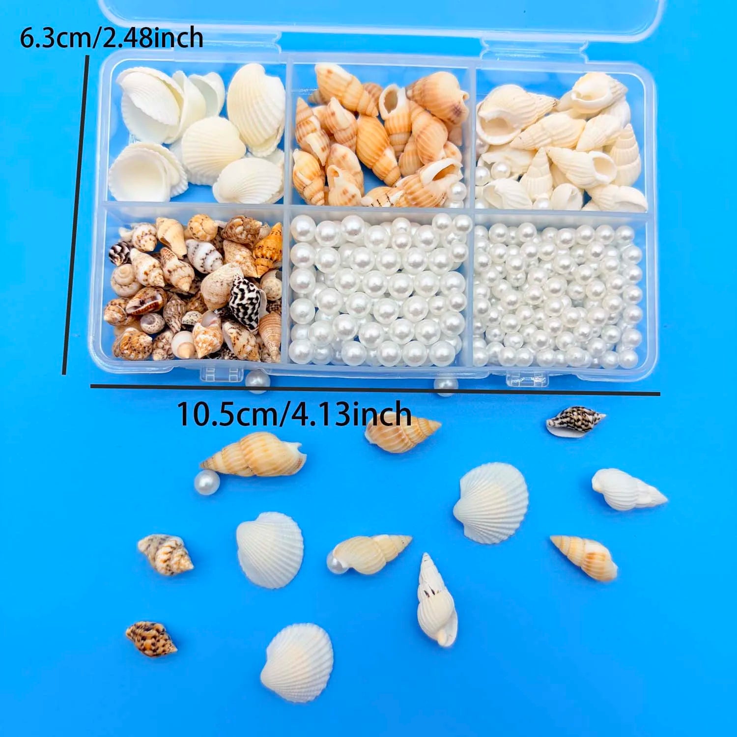 Mixed Mini Seashells Bulk – Crafts, Vase Filler & Fish Tank Decor Craft Shell Decor Zpaxo color 3
