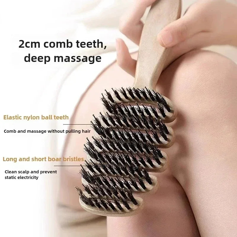 Boar Bristle Hair Comb Hollow Detangling Hair Brush Women Scalp Massage Brush Curly Hairbrush Salon Hairdressing Styling Tools Zpaxo