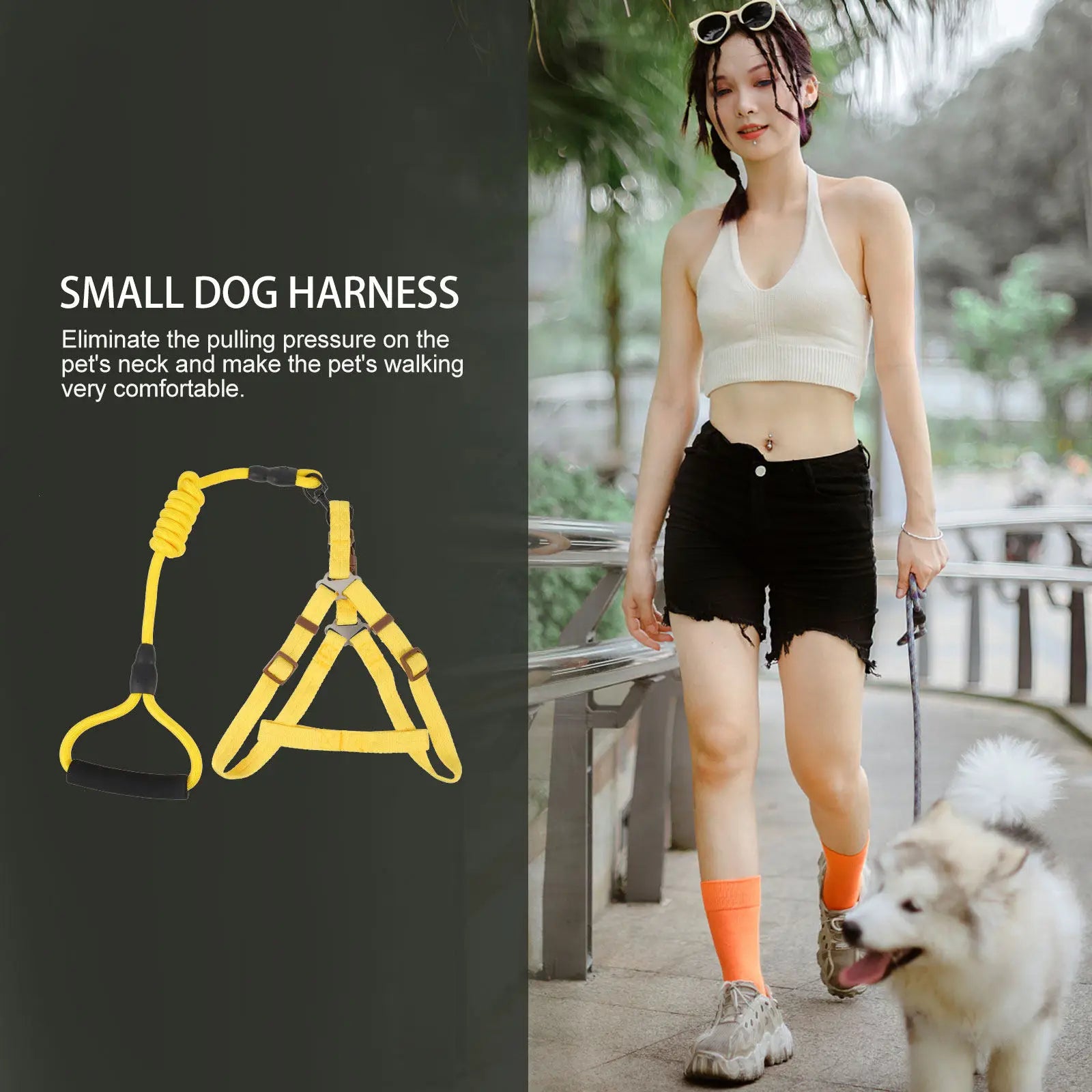Dog Leash Harness Puppy Nylon Outdoor Walking Traction Pet Vest Rope
