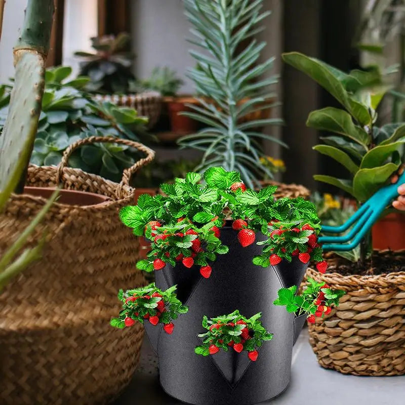 Potato Growing Bags 7 Gallon 6 Side Grow Pocket Outdoor Planter
