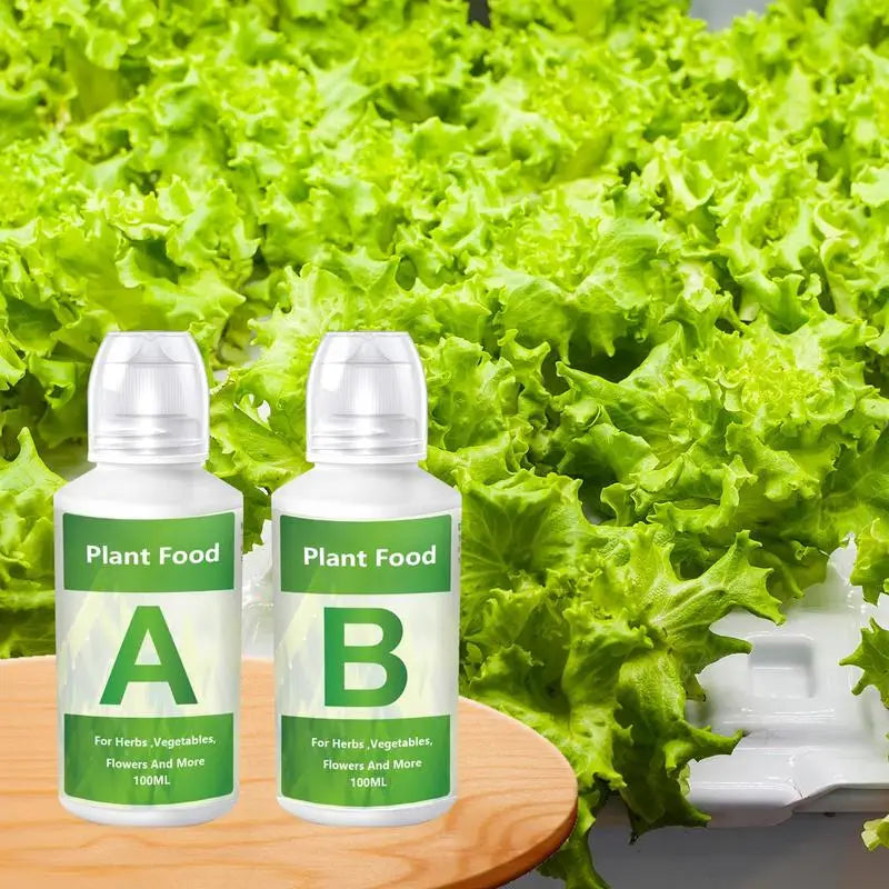 Hydroponic Plant Nutrient Solution Box B Fertilizer Flowers Fruit