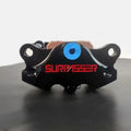 Dual Piston Hydraulic Disc Brake Caliper – Motorcycle Mod