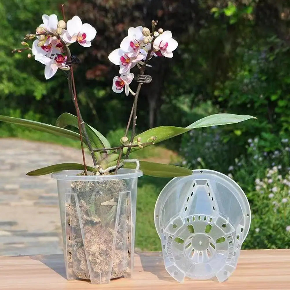 Clear Orchid Planter PP Plastic Pot | Air Holes & Drainage Orchid Planter Pot Zpaxo