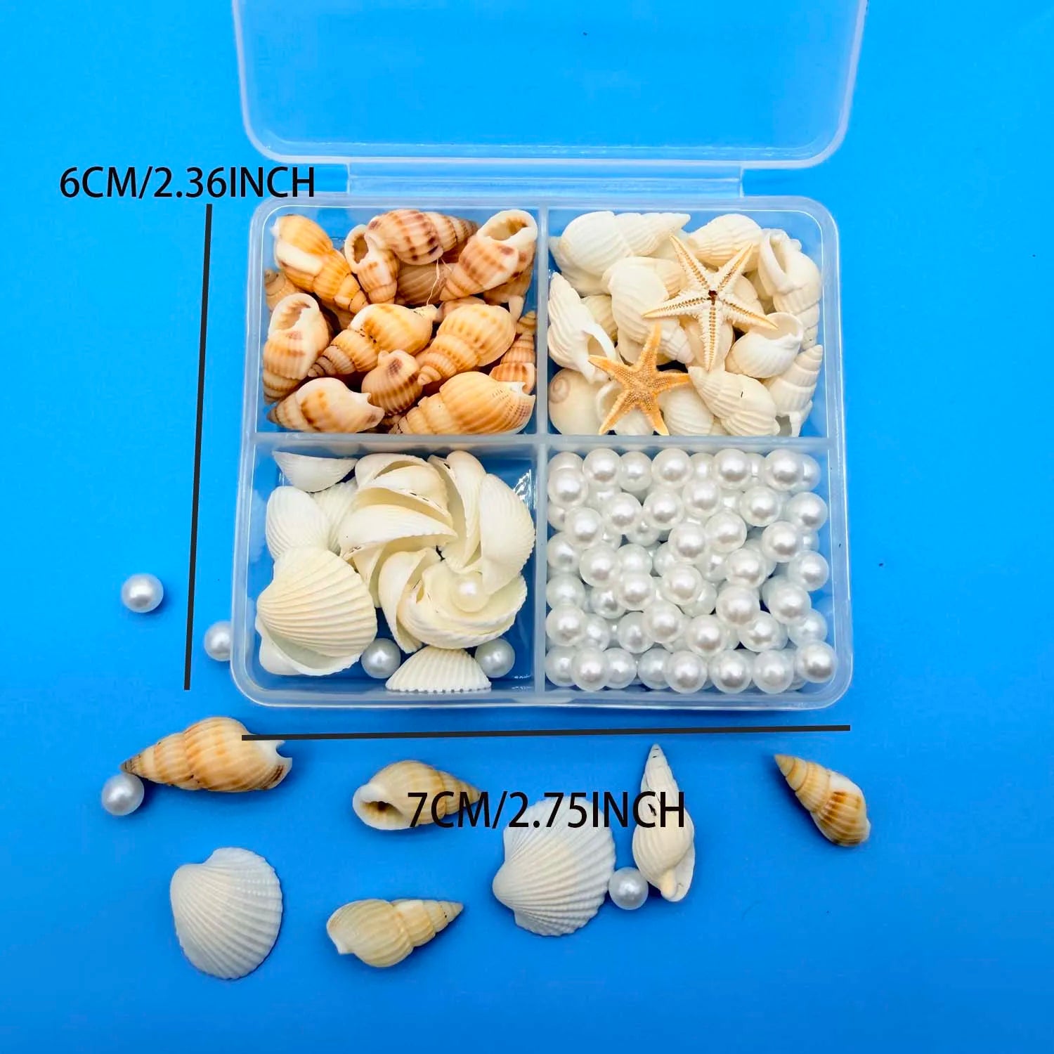 Mixed Mini Seashells Bulk – Crafts, Vase Filler & Fish Tank Decor Craft Shell Decor Zpaxo color 2