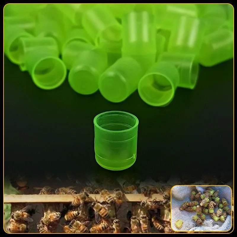 Beekeeping Bee Queen Rearing Base Mount Cleaner Nicot Cell Cup