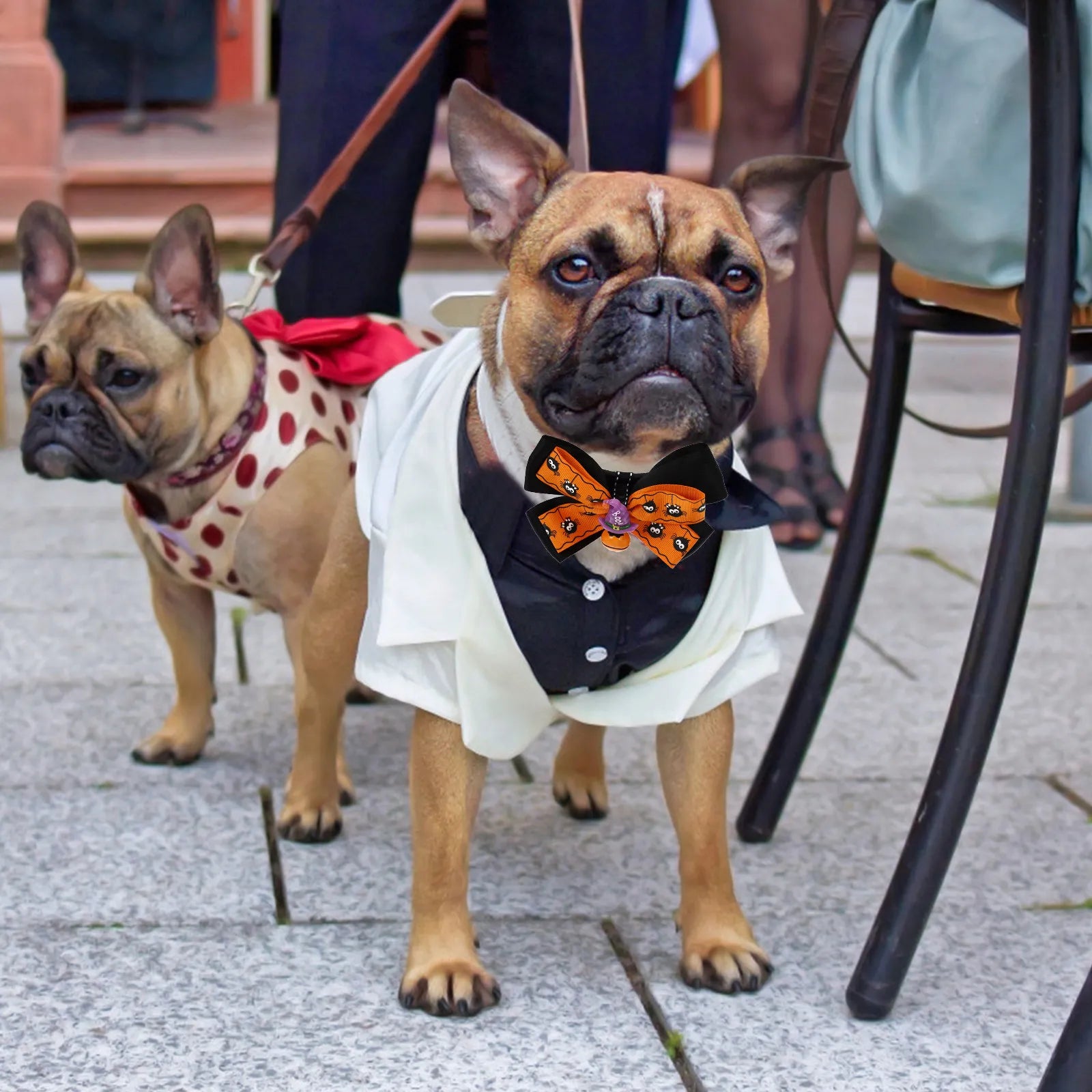 Halloween Pet Collar Adjustable Bow Tie Bell Lightweight Comfortable