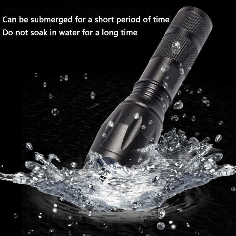 395nm UV & White Dual-Light Zoomable Flashlight | Pet Stain Torch