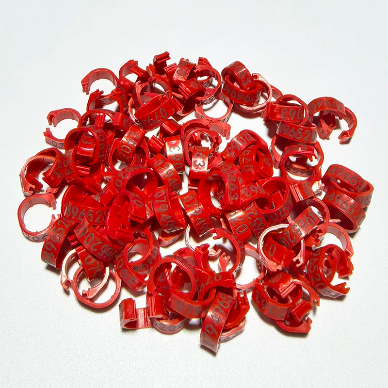 Personalized Inner Plastic Pigeon Dove Bands Rings Custom Laser
