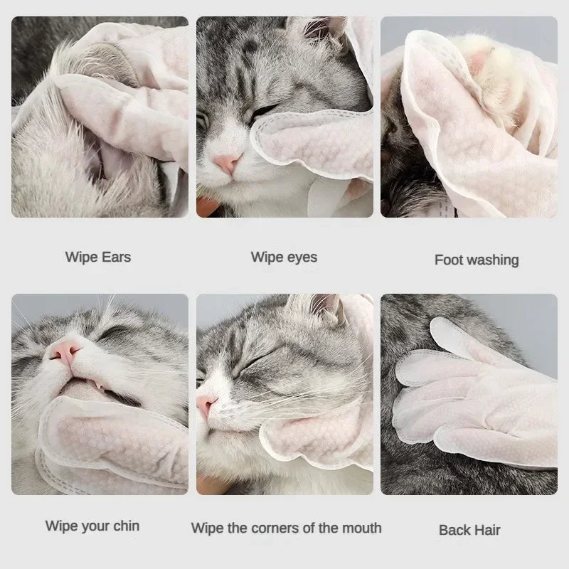 6-Pack No-Rinse Pet Grooming Gloves for Cats & Dogs