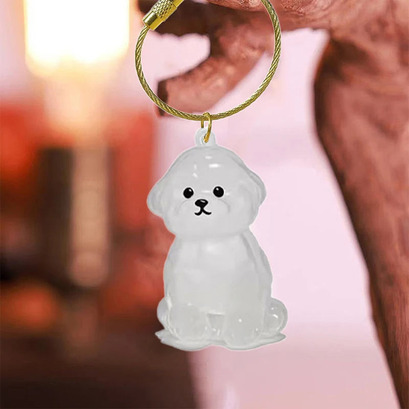 1Pcs Clear Puppy Hair Memorial Keepsake Capsule Pet's Dog Fur Container DIY Pendant Keychain Decor Pet Lovers Home Display Gifts Zpaxo