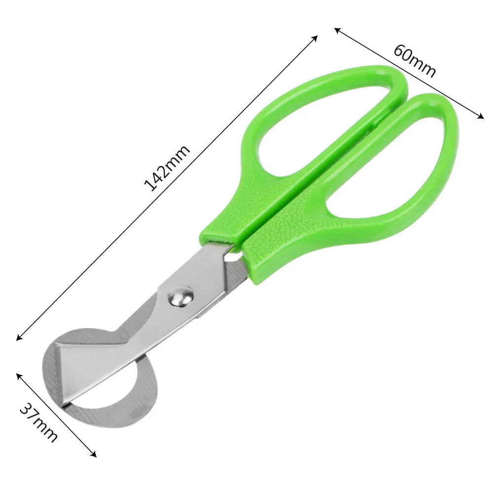 Cigar Cutters Egg Tools Quail Shell Scissors Rust Resistant Stainless