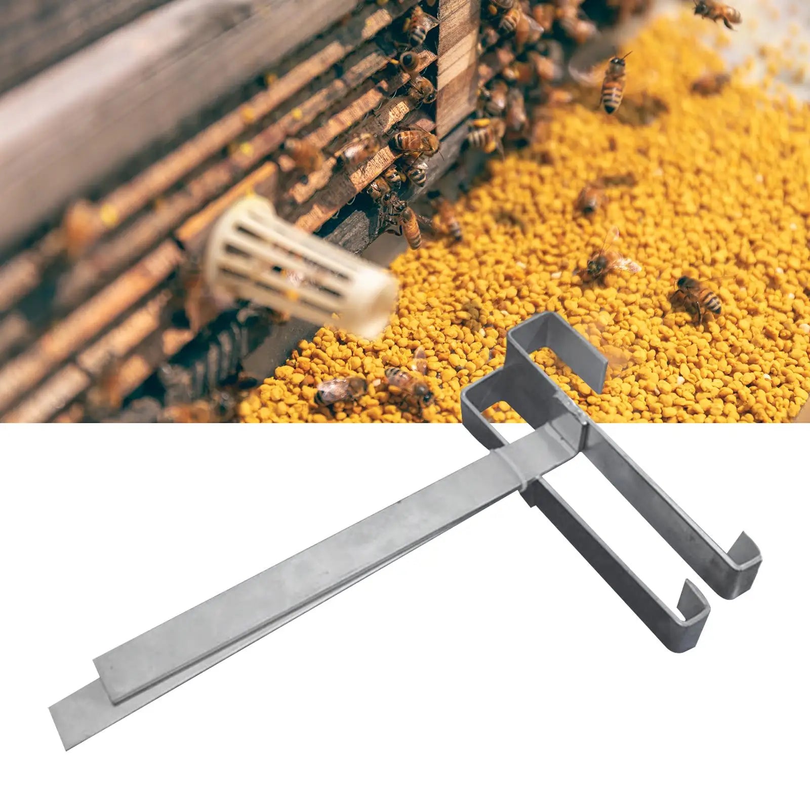 2 Pieces Beehive Frame Holder Support Bracket Stainless Steel Easy Installation Accessory Bee Hive Frame Grip for Home Workshop Zpaxo