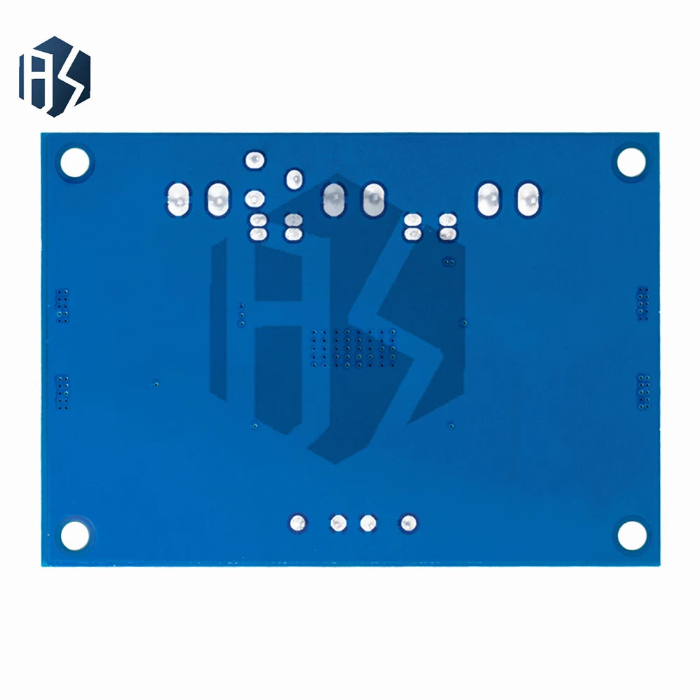 XH-M542 TPA3116 D2 Digital Power Amplifier Board 100W Mono Audio Zpaxo