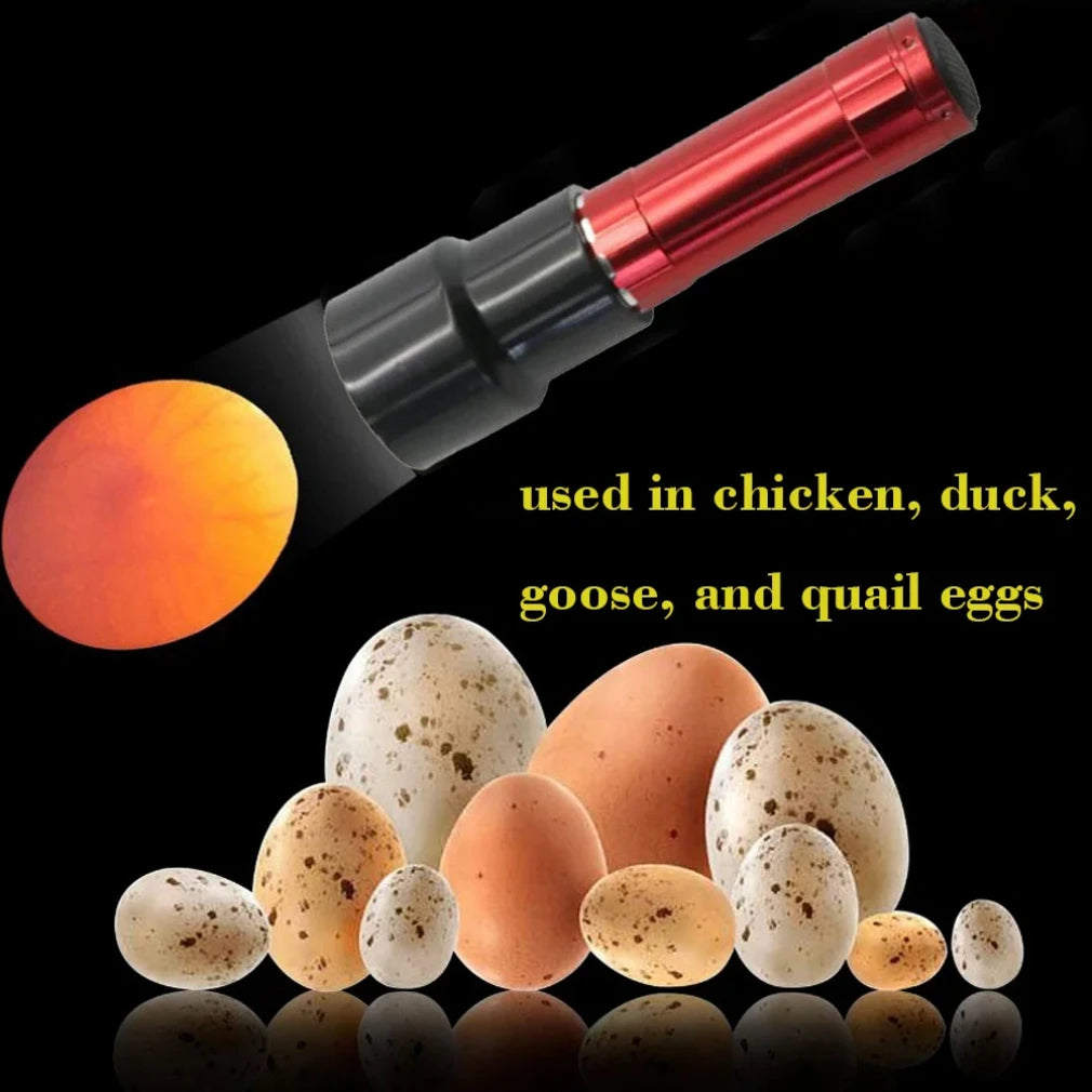 9 LED Egg Candler Flashlight – Ultra Bright Poultry Candling Lamp Egg Candler Flashlight Zpaxo