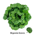 100 200M Artificial Green Ivy Leaf Rattan Creeper Leave Vine Hanging