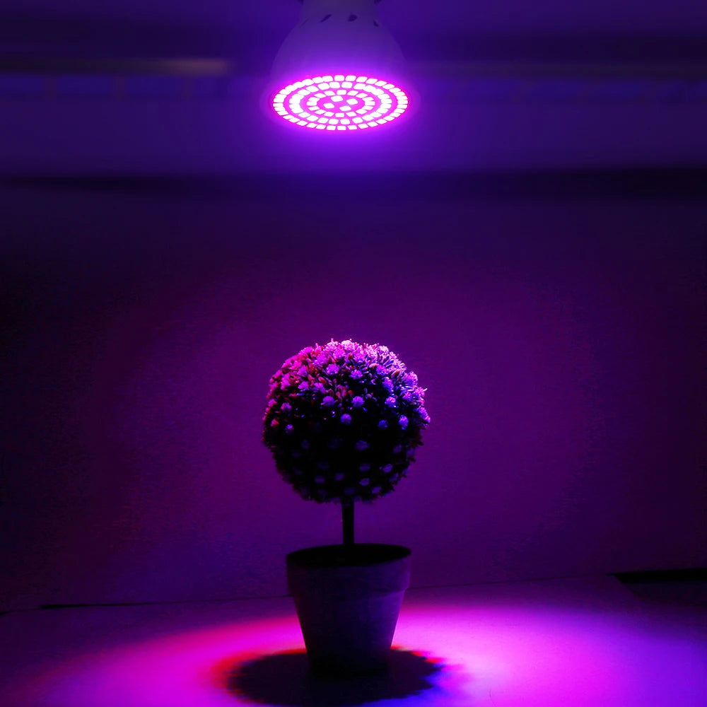 LED Grow Light Bulb E27 220V Full Spectrum 60/80LED Plant Lamp for Indoor Garden Seedling Greenhouse Hydroponics Grow Tent Zpaxo