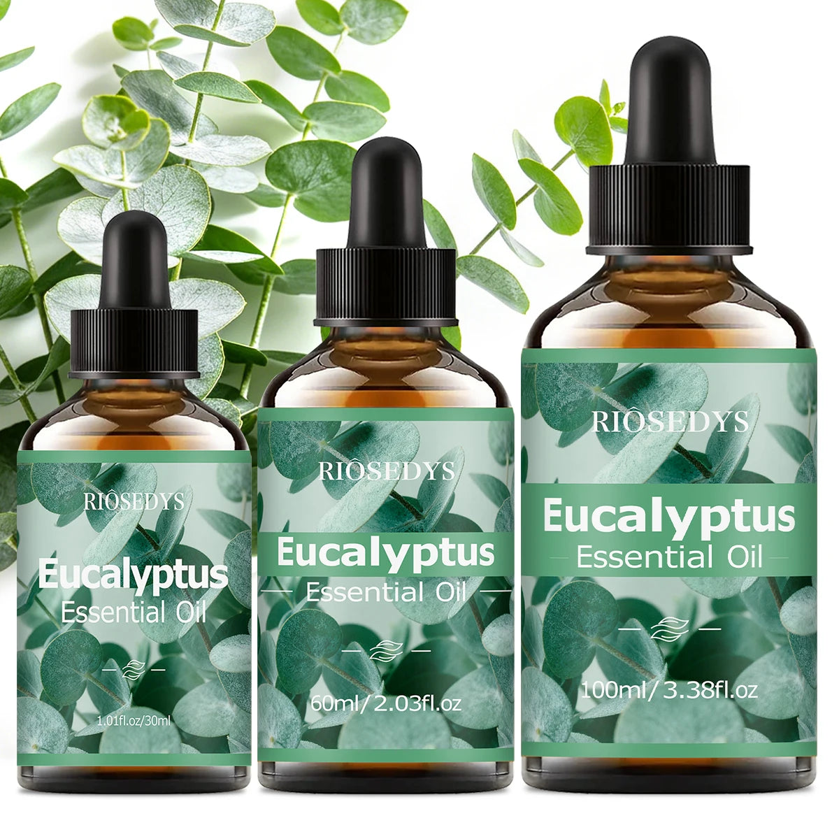 EUCALYPTUS ESSENTIAL OIL is moisturizing and nourishing massage oil suitable for skincare, fragrance, massage, all skin types. Zpaxo