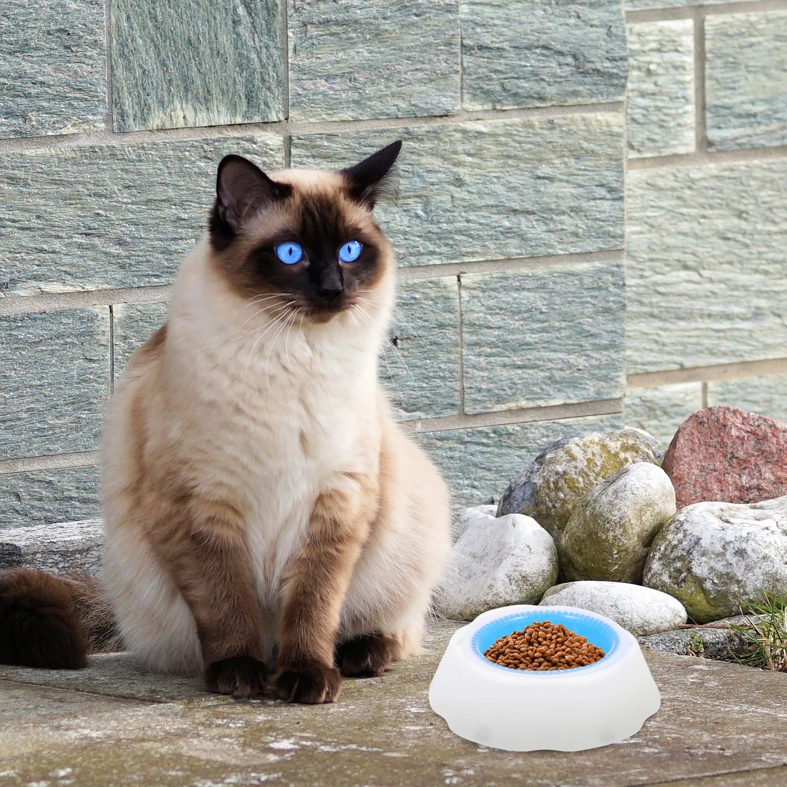 Pet Cooler Bowl Long-lasting PP Material Stable Base Dog Cat Summer