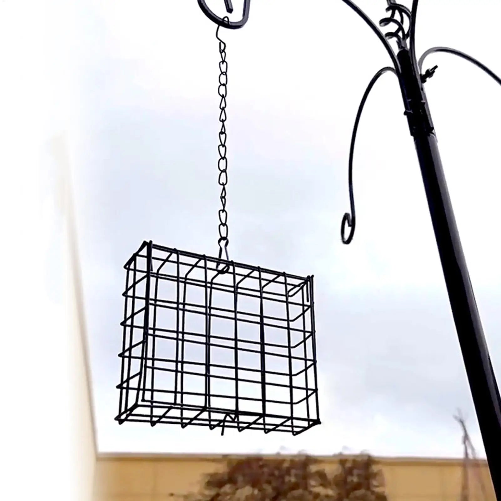 Suet Feeder Squirrel Proof Cage Birdwatching Station Reusable Wild