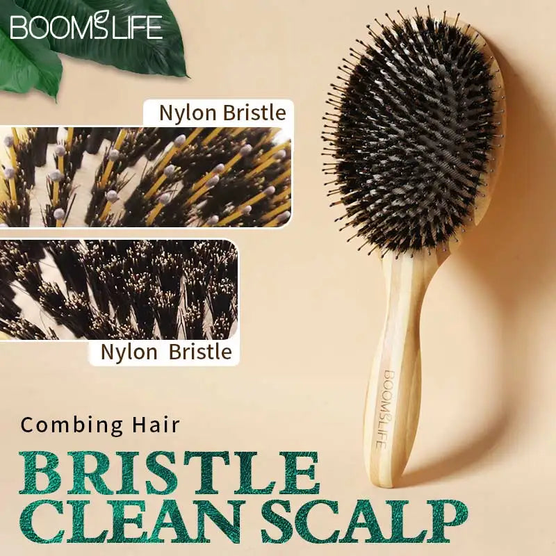 Soft Boar Bristle Hair Brush and Comb For hair Bamboo Hair Brush Massage Hair Combs for Women Hair Beauty Care Salon Tools Zpaxo