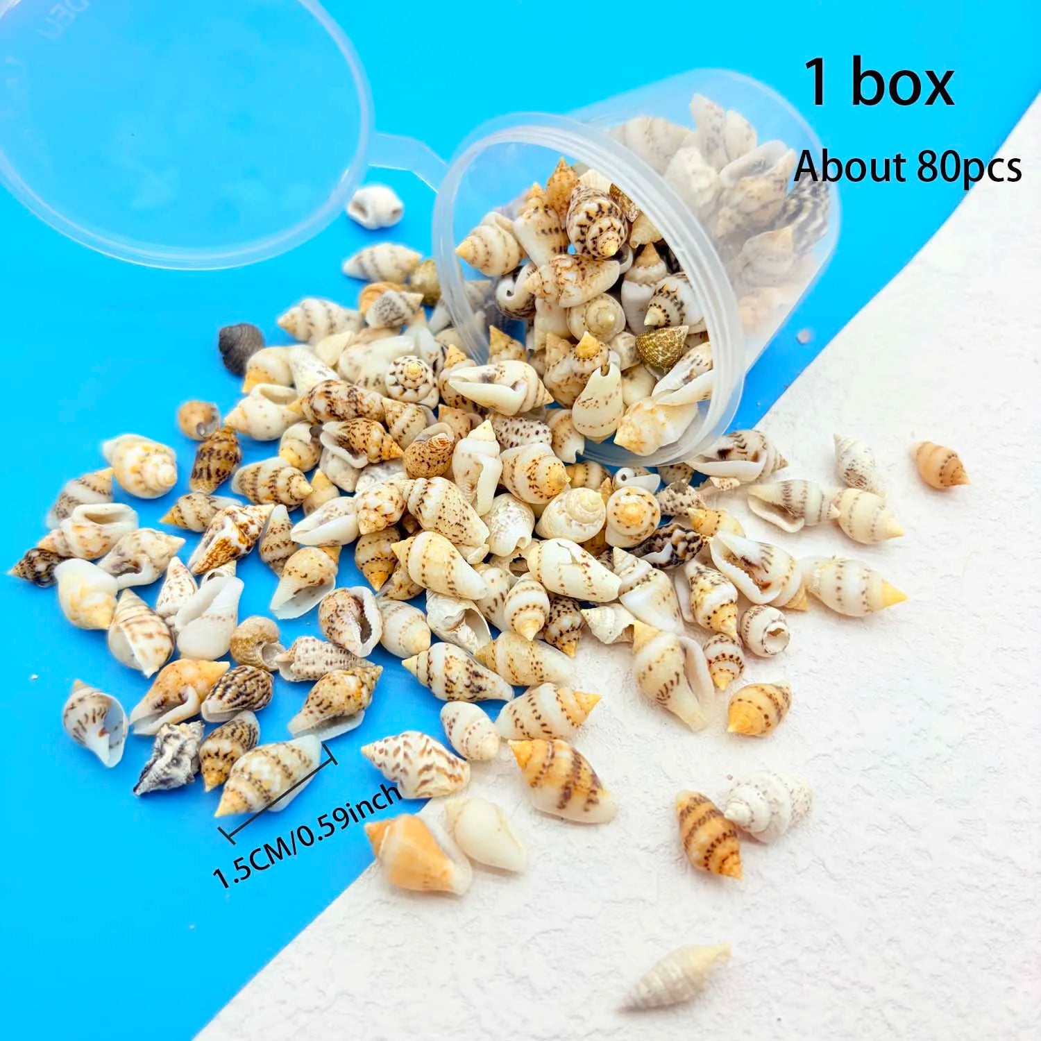 Seashells for Crafts, Jewelry Making & Beach Home Decor Craft Seashells Zpaxo 1 BOX