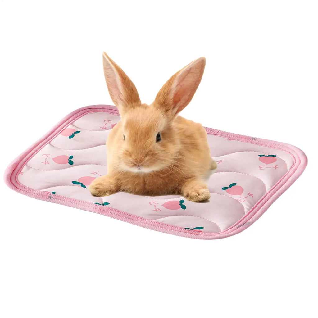 Pet Cooling Mat for Cats & Small Dogs – Ice Silk Summer Pad Pet Cooling Mat Zpaxo
