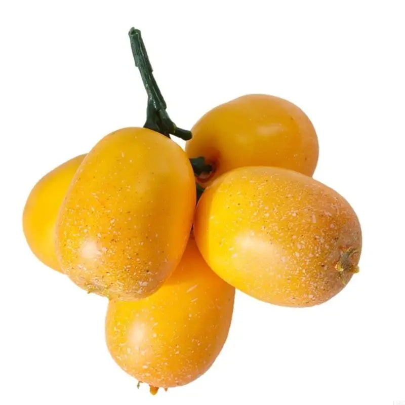 Simulation Loquat Fruit Model Adds Natural Touching Home Kitchen