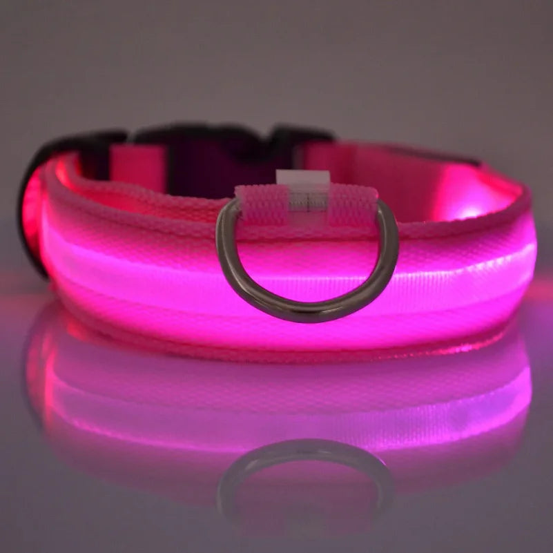 Nylon LED Night Safety Flashing Glow In The Dark Dog Leash Dogs Luminous Fluorescent Pet Dog Collar Zpaxo