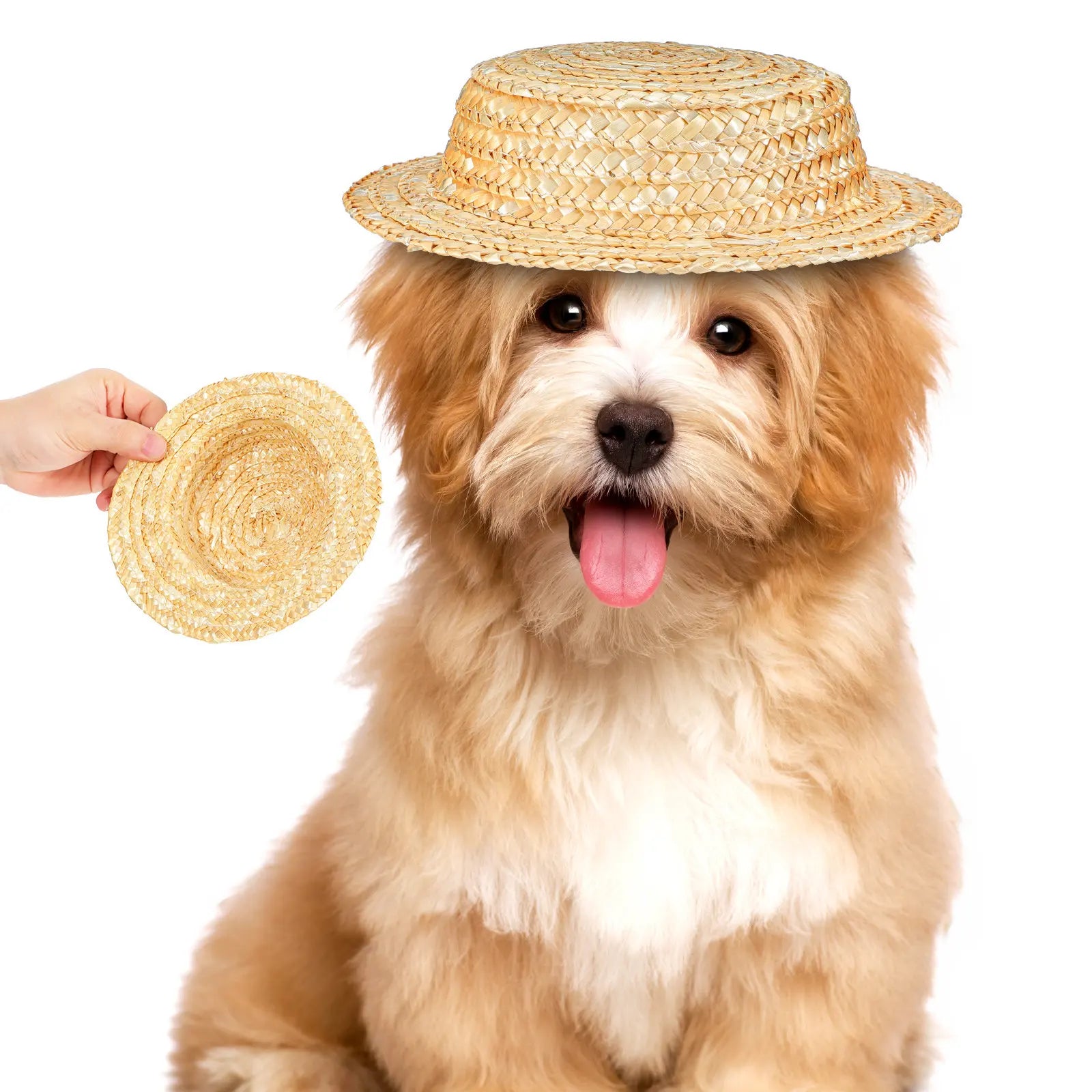 Mini Straw Hat Woven Round Inner Diameter DIY Crafts Photo Prop Small