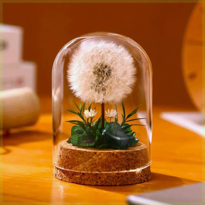 Desktop Decor Dried Dandelion Bouquet Preserved Flowers Birthday