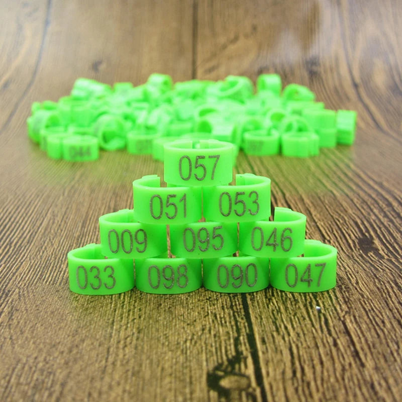 Bird Clip Ring ID Plastic Digital Markup Parrot Pigeons 10 Colors Zpaxo green