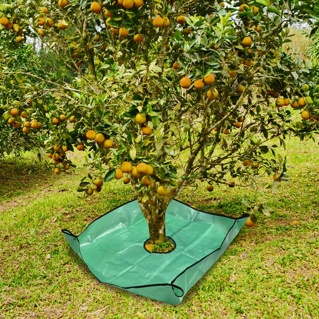 Leaf Tarp 39 37x39 Pruning Center Hole Four Corner Buckles Easy