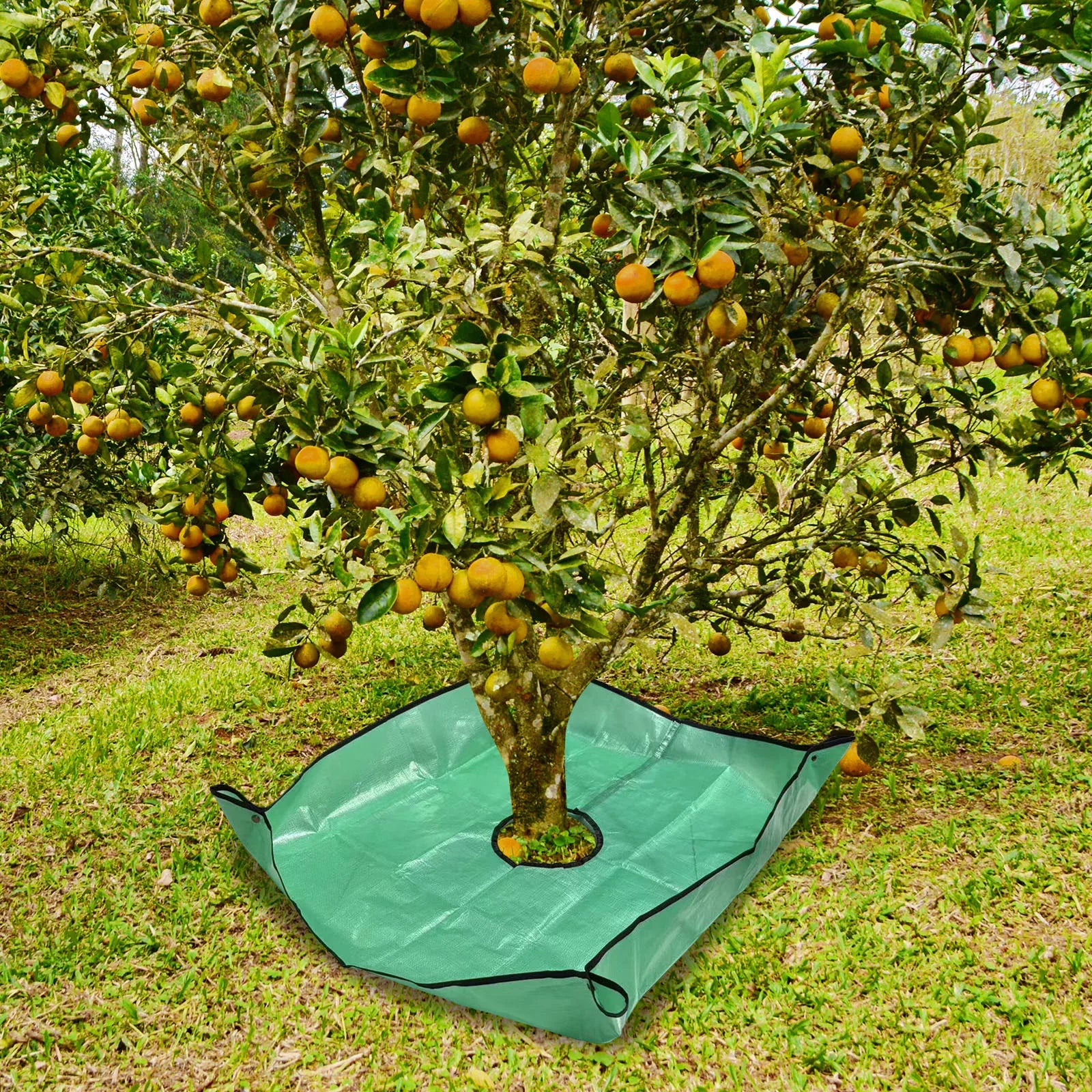 Leaf Tarp 39 37x39 Pruning Center Hole Four Corner Buckles Easy