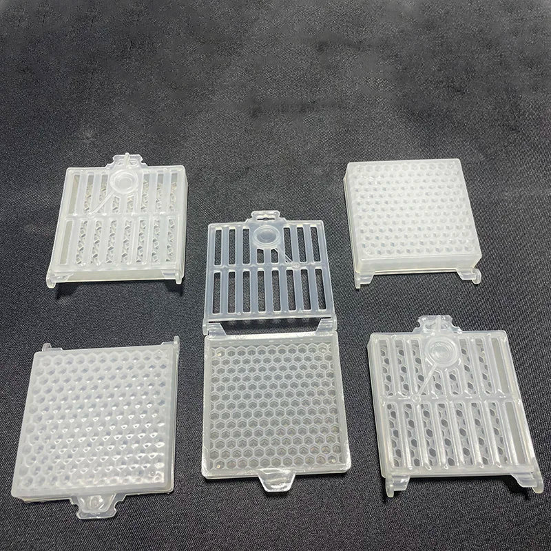 Beekeeping Transport Queen Cages Design Bee Post Cage Transparent Box