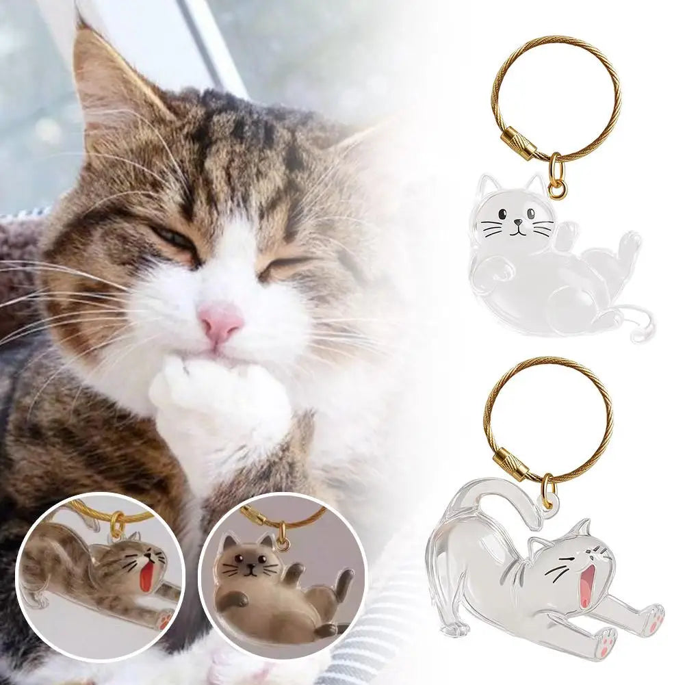 Pet Hair Keepsake Box Memorial Bottle for Cat Fur Storage Container for DIY Decoration Gift for Pet Lovers Home Display Zpaxo