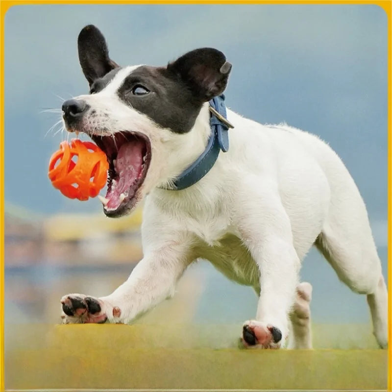 Durable Hollow Elastic Pet Dog Toys Ball Puppy Chew Teeth Cleaning Zpaxo