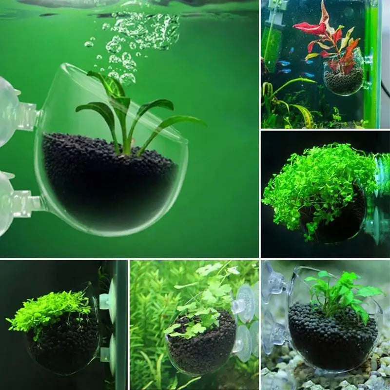 Acrylic Aquatic Plant Cup Suction Holder Aquarium Fish Tank Pot
