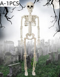 Poseable Skeleton Prop Articulated Joints Hanging Skull Standing