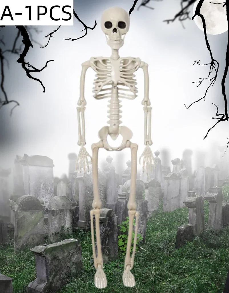Poseable Skeleton Prop Articulated Joints Hanging Skull Standing