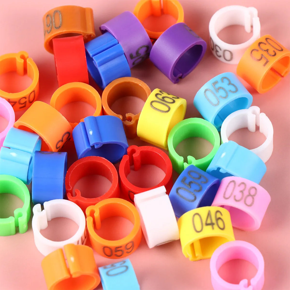 Digital Bird Identification Plastic Opening Foot Rings Bright Numbers