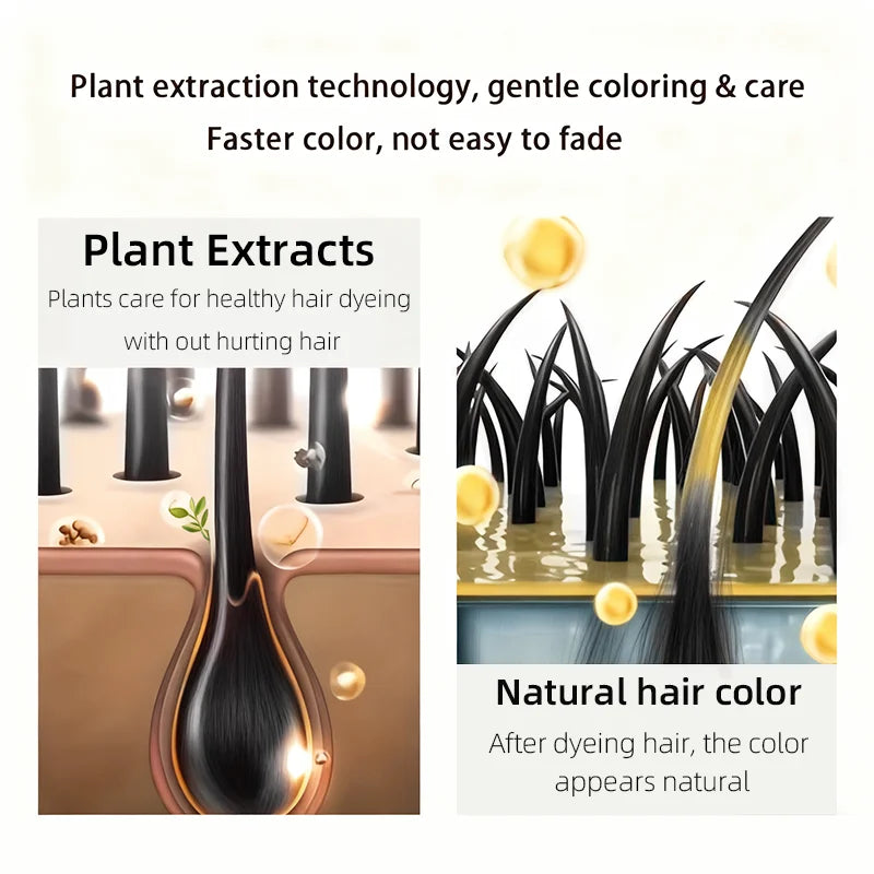 Obsidian Black Hair Dye Shampoo – 4-in-1 Gray Coverage 100ml Hair Dye Shampoo Zpaxo