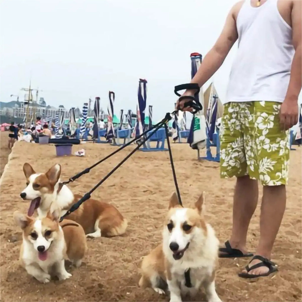 4-Dog Tangle-Free Leash – Detachable Lines & Comfort Grip