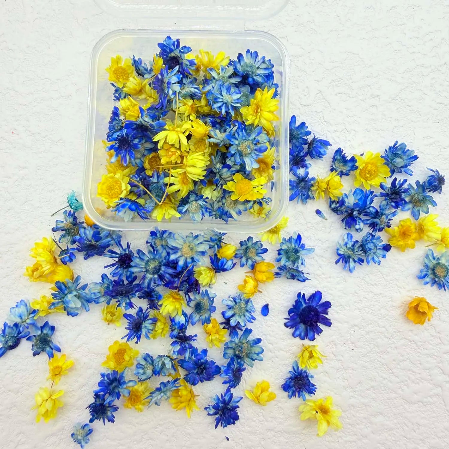 1BOX DIY Flowers Handmade Craft For Nail Art Resin Mold Fillings Candle making Jewelry Resin Phone Case Craft Decoration Zpaxo D