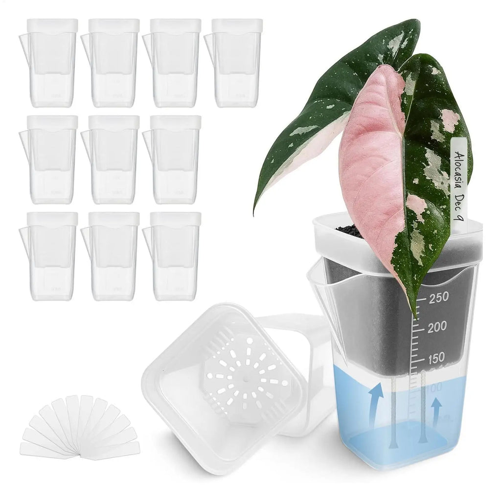 10 Indoor Plant Pot Transparent Self-watering Planter Small