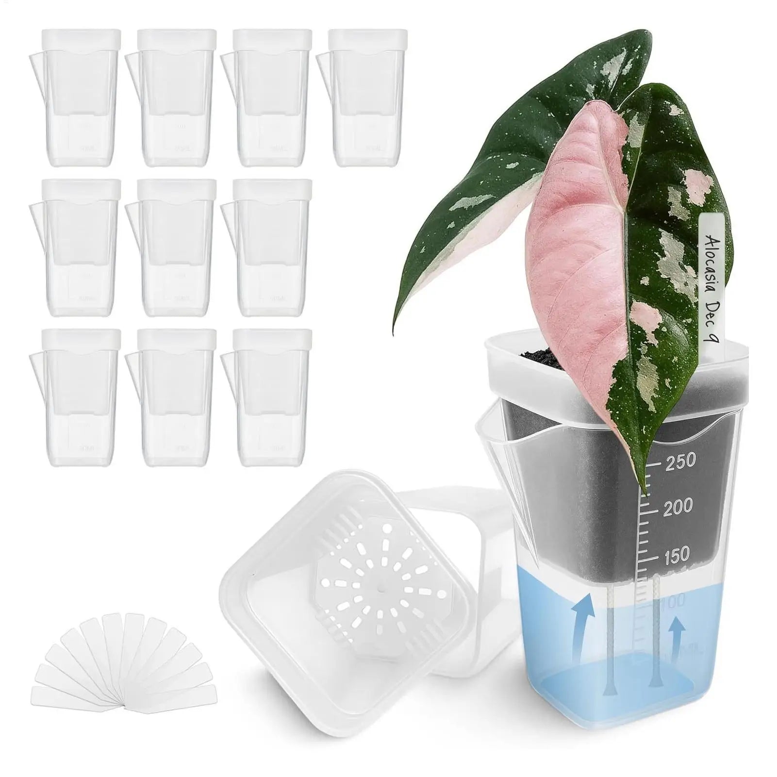 10 Indoor Plant Pot Transparent Self-watering Planter Small