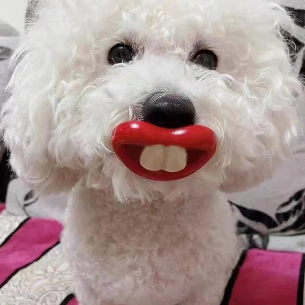 Silicone for Dogs Funny Dog Red Lips Silicone Chew Toy Soft Health Care Teething Pet Teether for Small Zpaxo