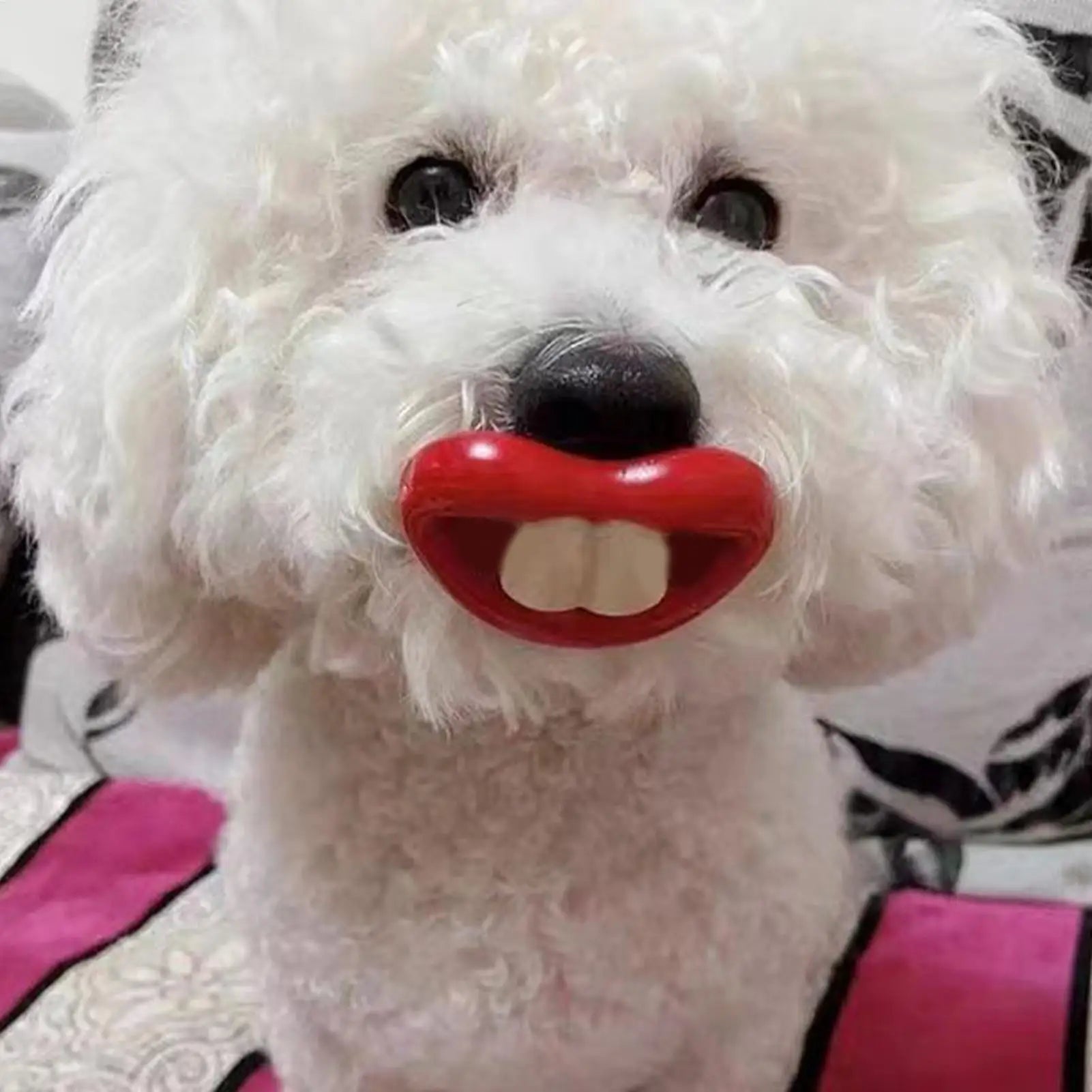Silicone for Dogs Funny Dog Red Lips Silicone Chew Toy Soft Health Care Teething Pet Teether for Small Zpaxo