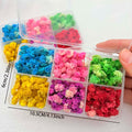 1 box Small Dried Flowers for Resin Crafts Candle Soap Making Nail Art DIY Jewellery Gift Home Decoration Zpaxo 1 BOX