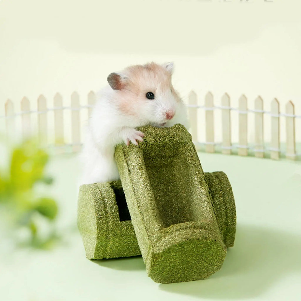 Hamster Chew Toys Teeth Pet Feeding Bowl Natural Chinchilla