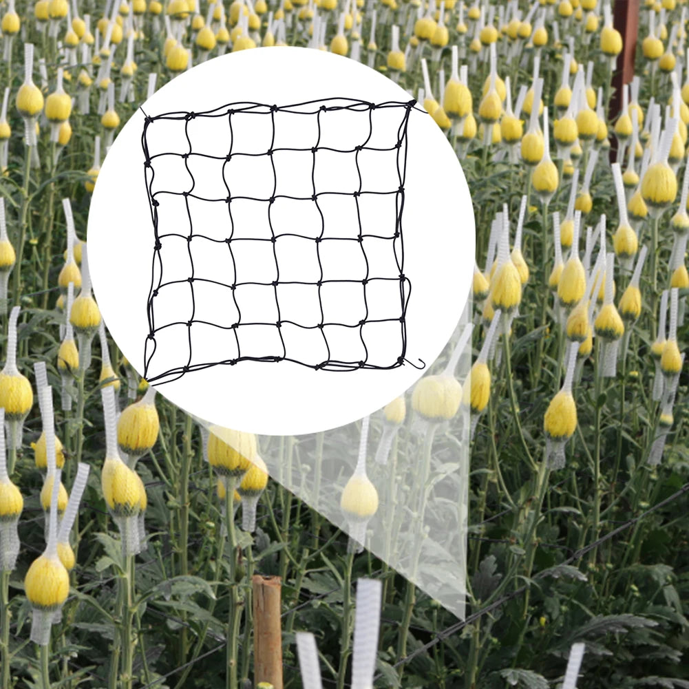 Stretch Net Polyester Supporting Equipment Pressed Branch Net with Removable Hook Support Plants Stretchable for Garden Fence Zpaxo